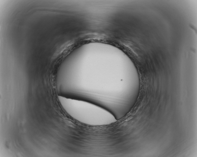 X0000096161399200801180841