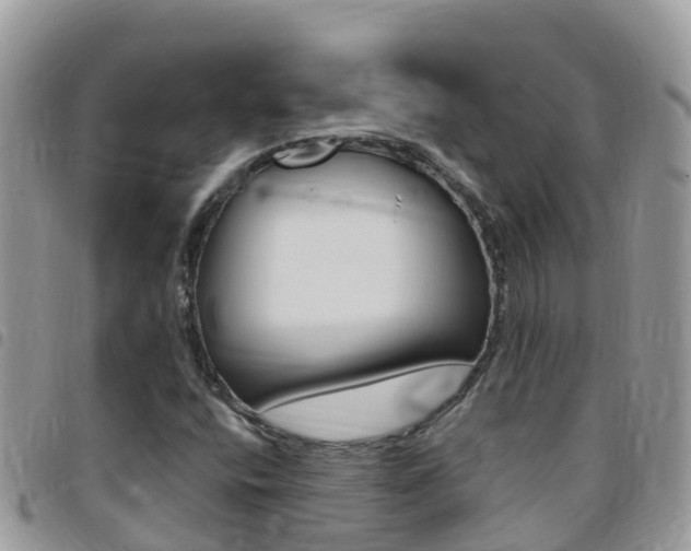 X0000096161400200801180841