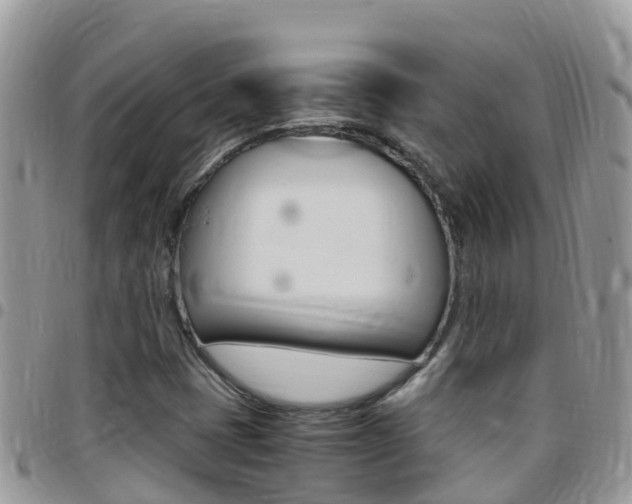 X0000096161401200801180841