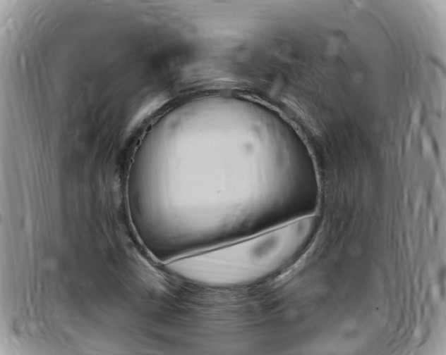 X0000096161402200801180841