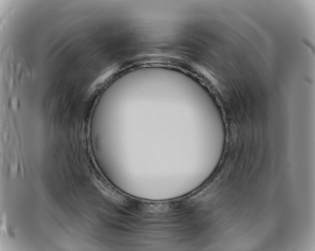 X0000096161403200801180841