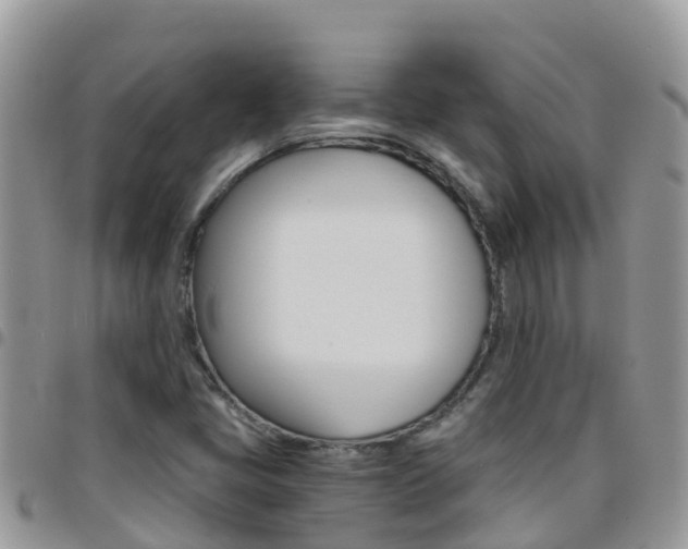 X0000096161405200801180841