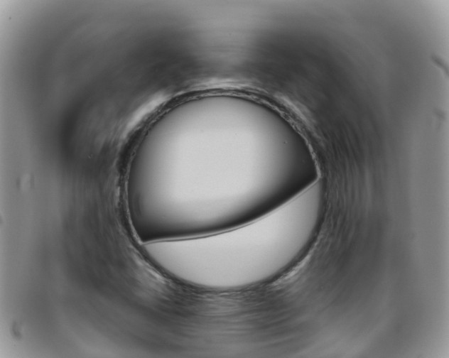 X0000096161406200801180841