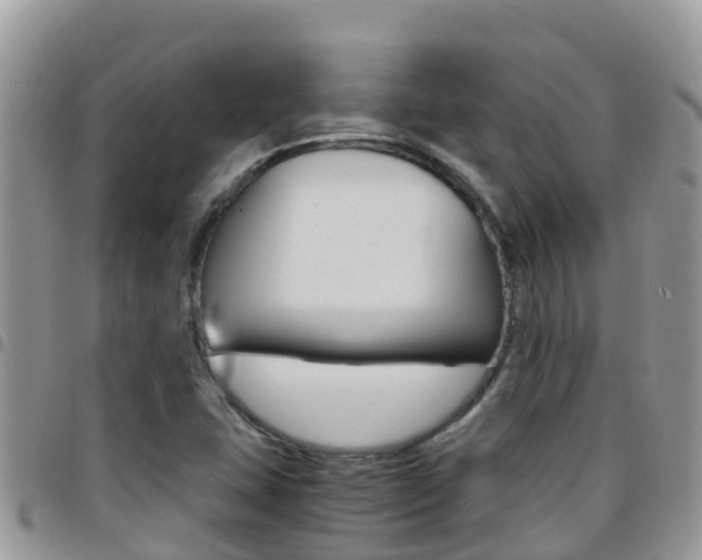 X0000096161407200801180841