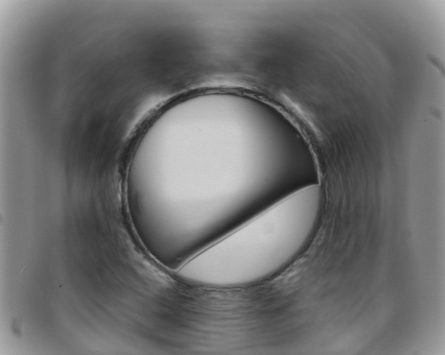 X0000096161408200801180841
