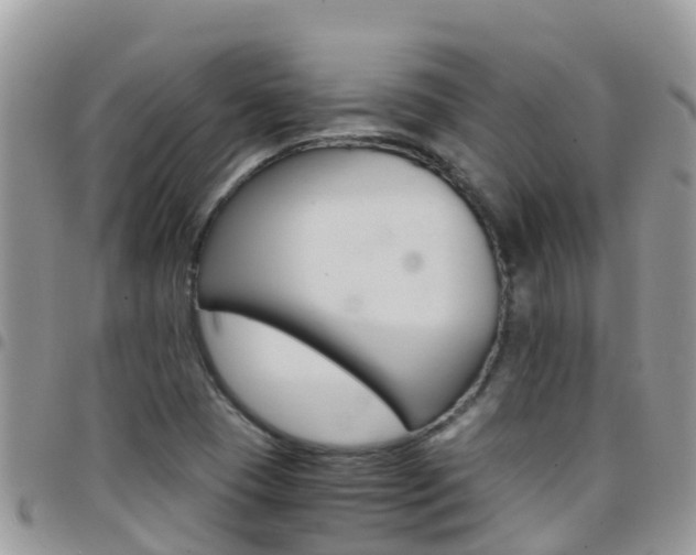 X0000096161409200801180841