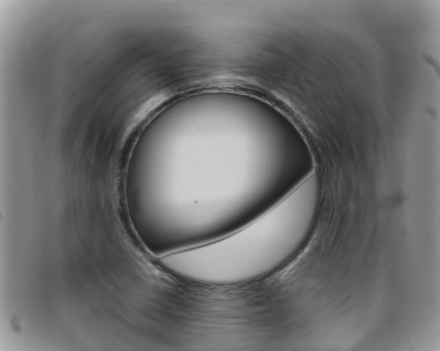 X0000096161410200801180841