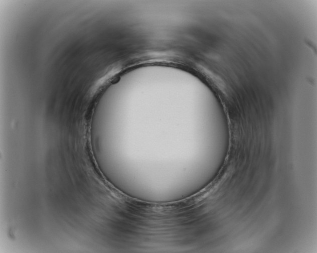 X0000096161411200801180841