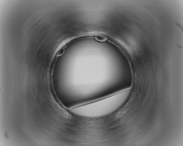 X0000096161412200801180841