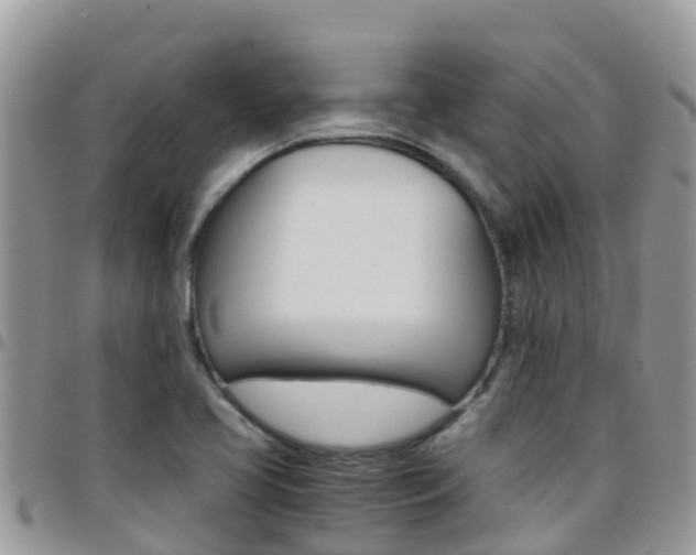 X0000096161413200801180841