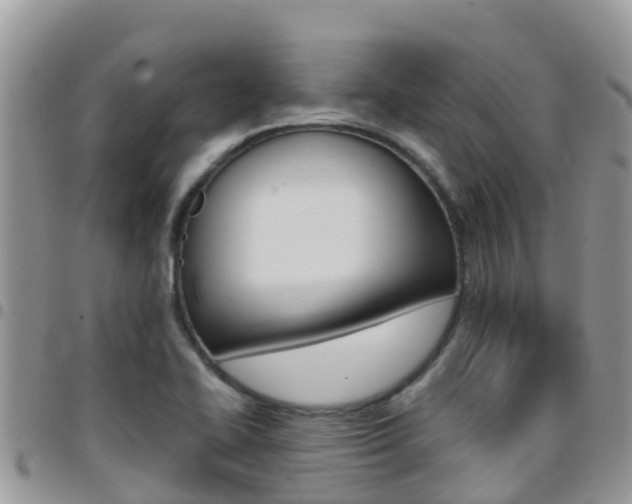X0000096161414200801180841