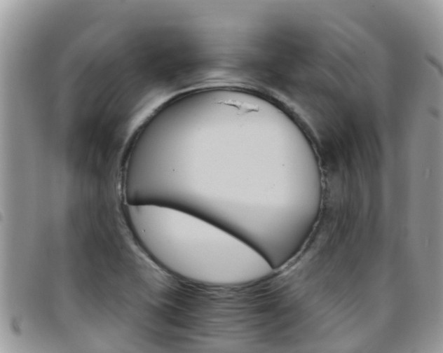 X0000096161415200801180841