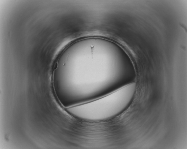 X0000096161416200801180841