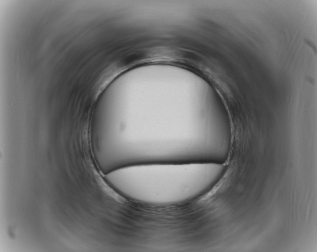 X0000096161417200801180841