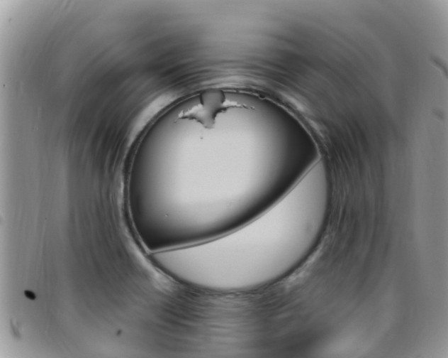 X0000096161418200801180841