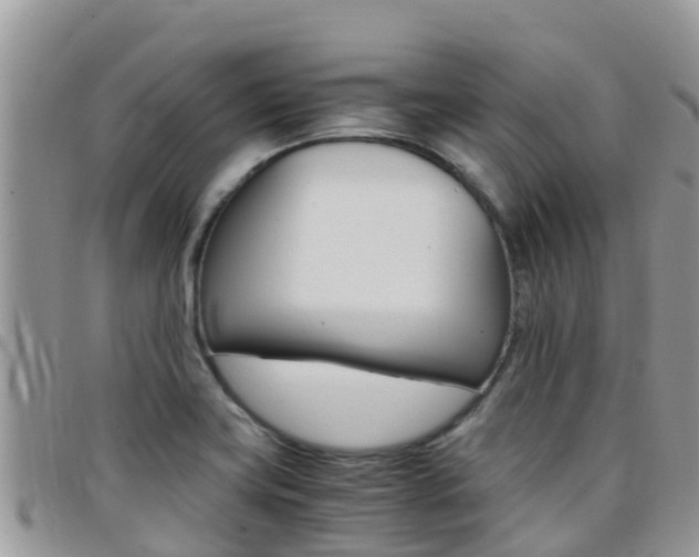 X0000096161419200801180841