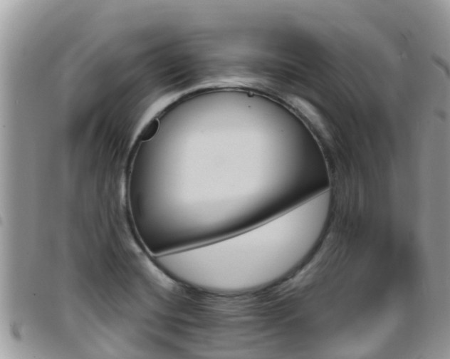 X0000096161420200801180841