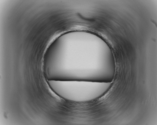 X0000096161421200801180841