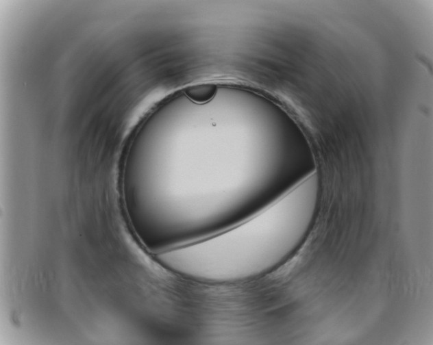 X0000096161422200801180841