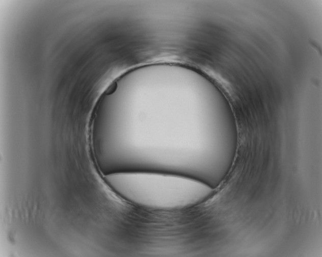 X0000096161423200801180841