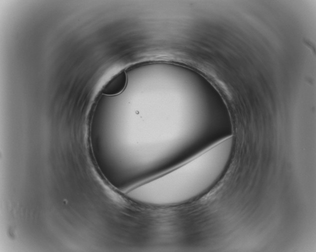 X0000096161424200801180841