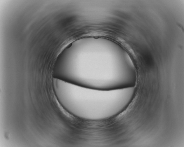 X0000096161425200801180841