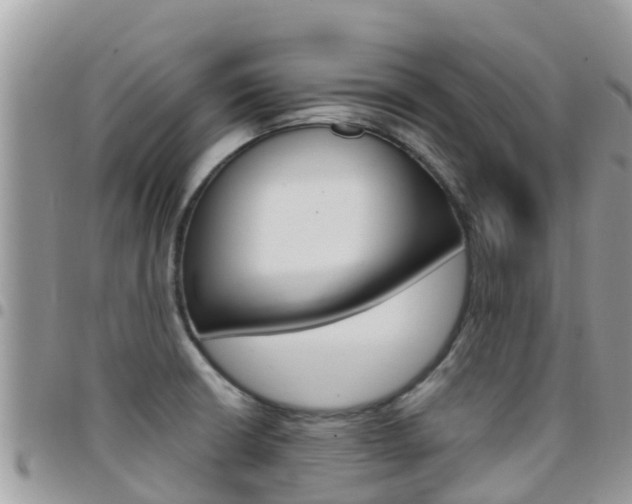 X0000096161426200801180841