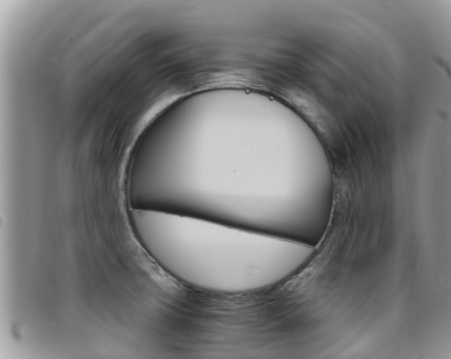 X0000096161427200801180841