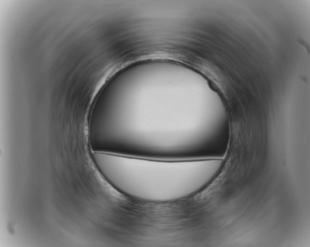 X0000096161428200801180841