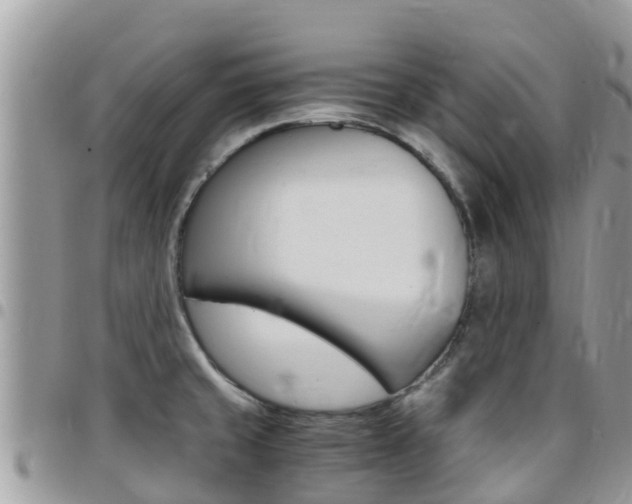 X0000096161429200801180841