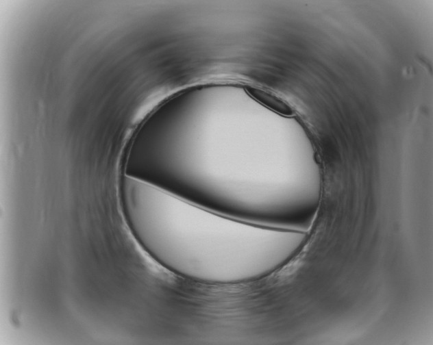 X0000096161430200801180841