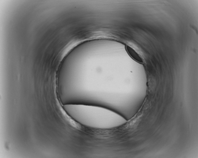 X0000096161431200801180841