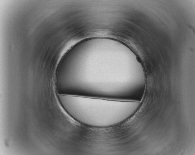 X0000096161432200801180841