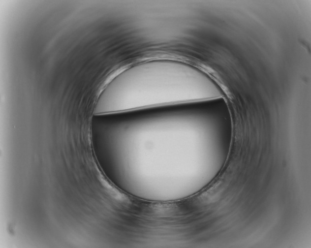 X0000096161433200801180841