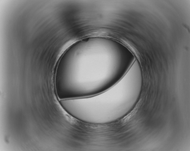 X0000096161434200801180841