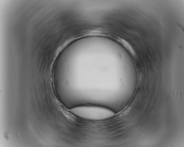 X0000096161435200801180841