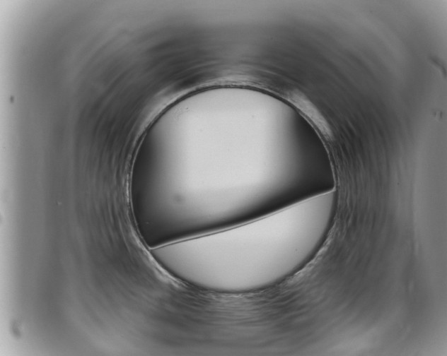 X0000096161436200801180841