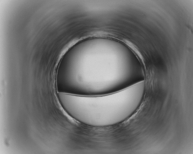 X0000096161437200801180841