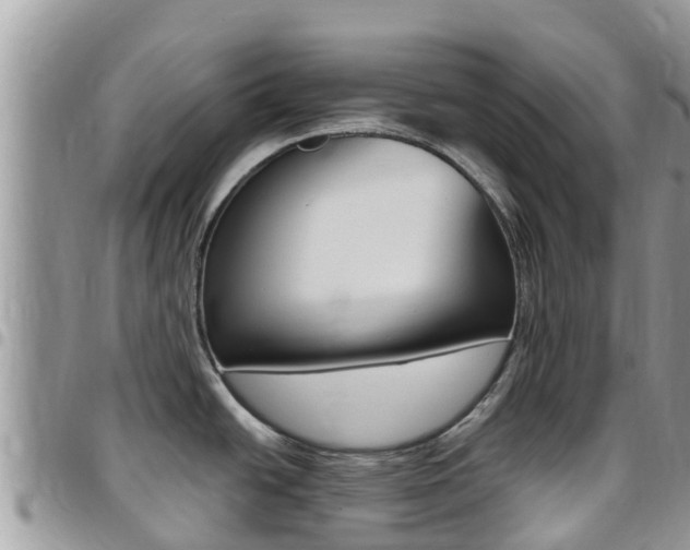 X0000096161438200801180841