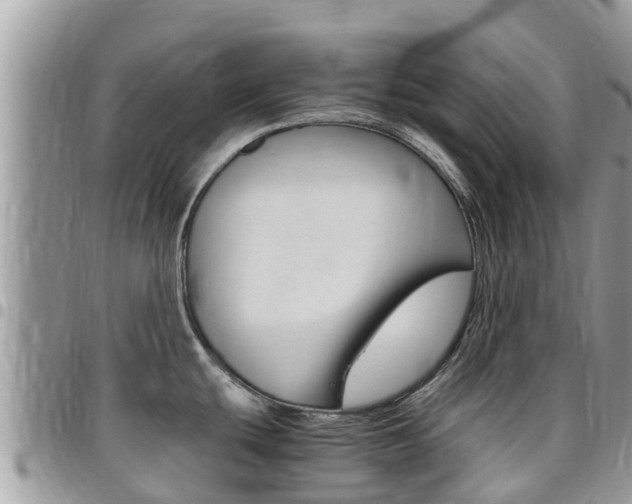X0000096161439200801180841
