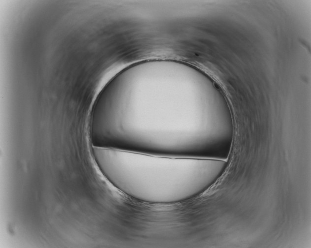 X0000096161440200801180841