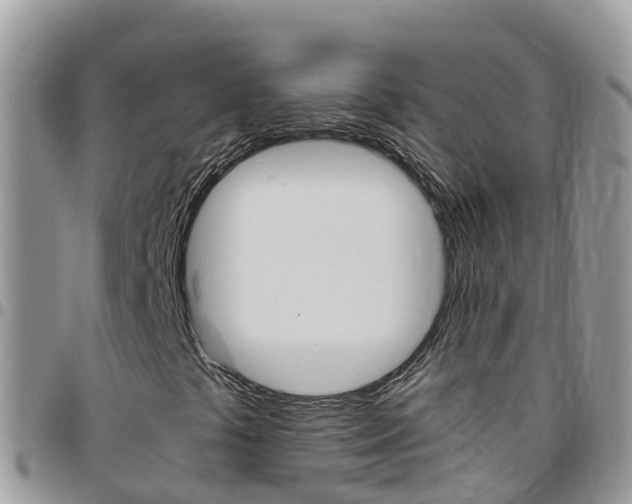 X0000096161441200801180841