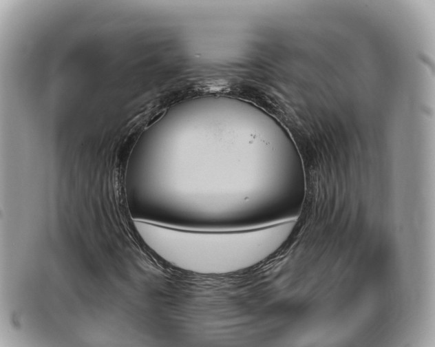 X0000096161442200801180841