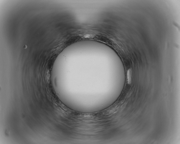 X0000096161443200801180841