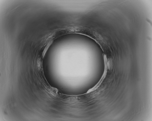 X0000096161444200801180841