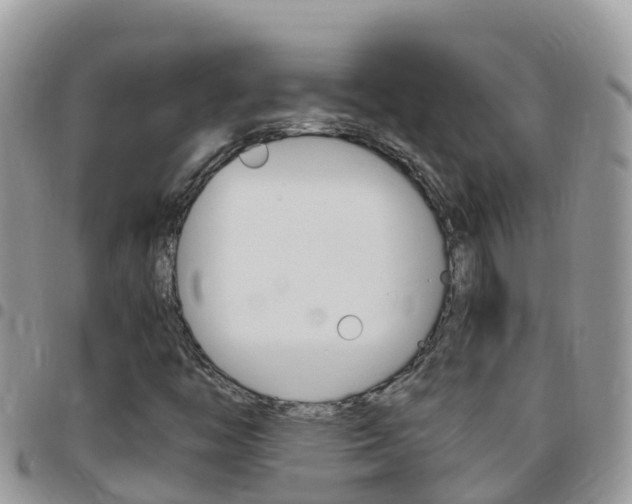 X0000096161446200801180841