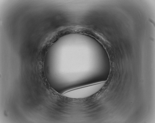 X0000096161447200801180841