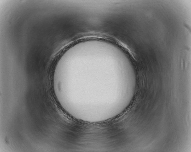 X0000096161448200801180841