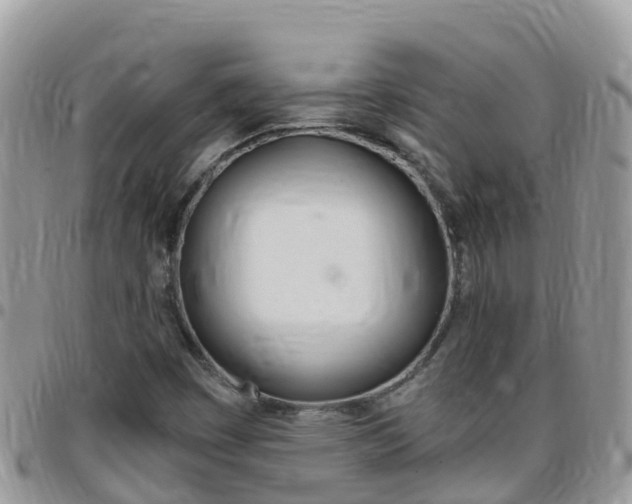 X0000096161449200801180841