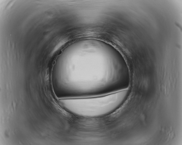 X0000096161450200801180841